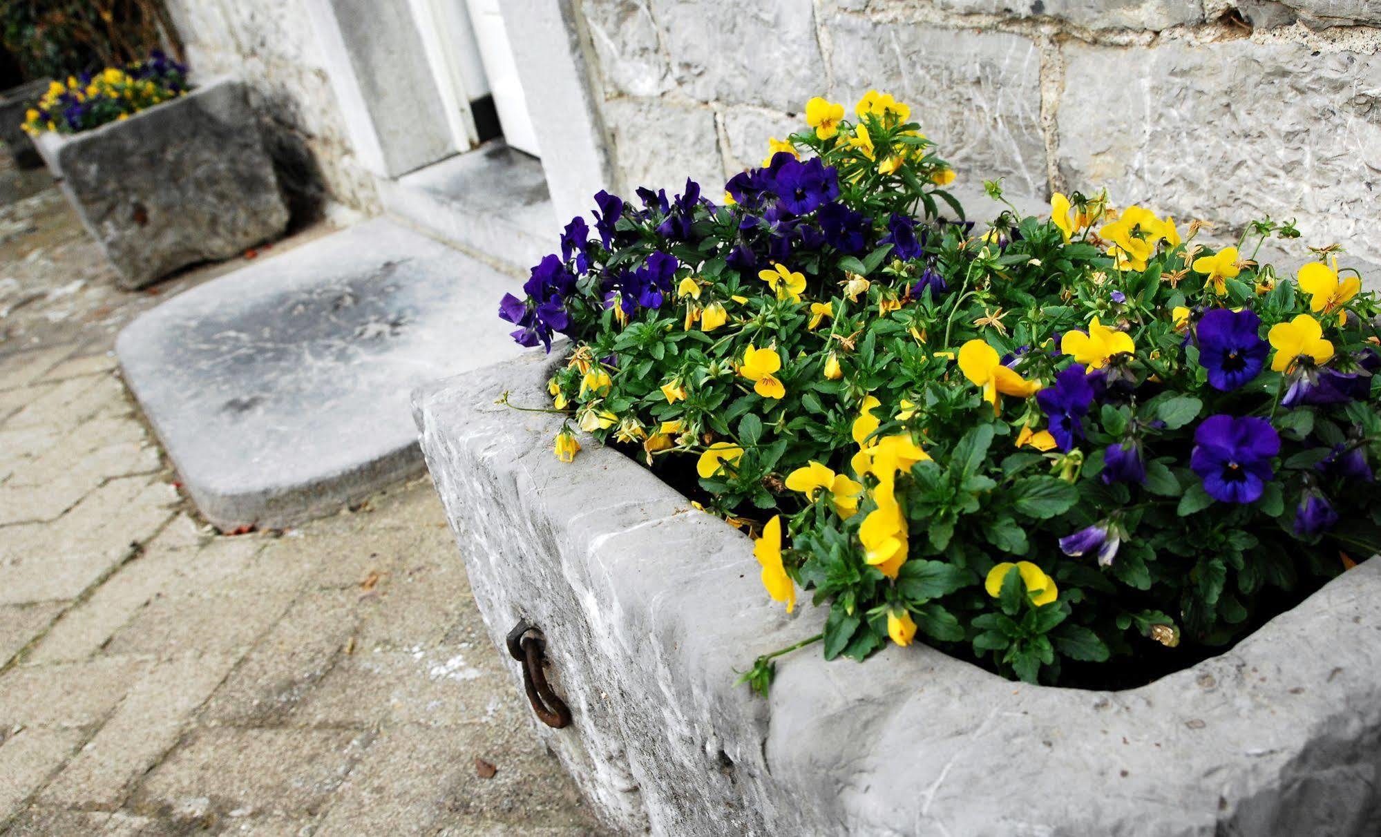 B&B La Buissonniere Xhoris Luaran gambar